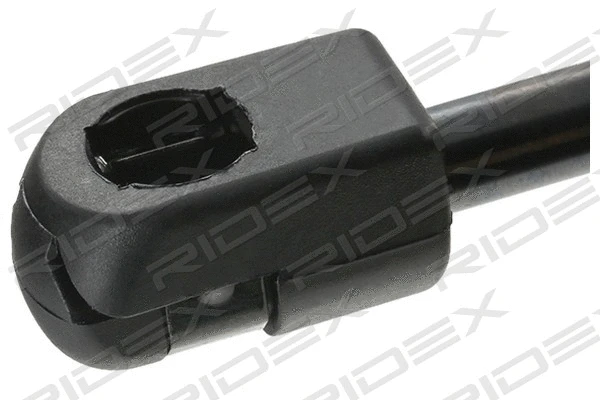 Gas Spring, bonnet