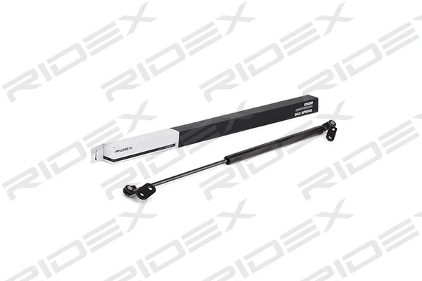 Gas Spring, boot/cargo area