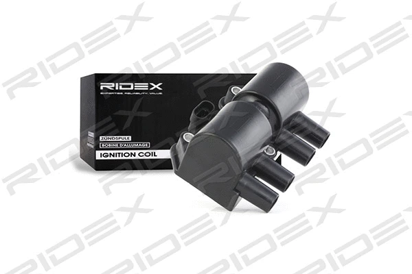 Ignition Coil (689C0162)