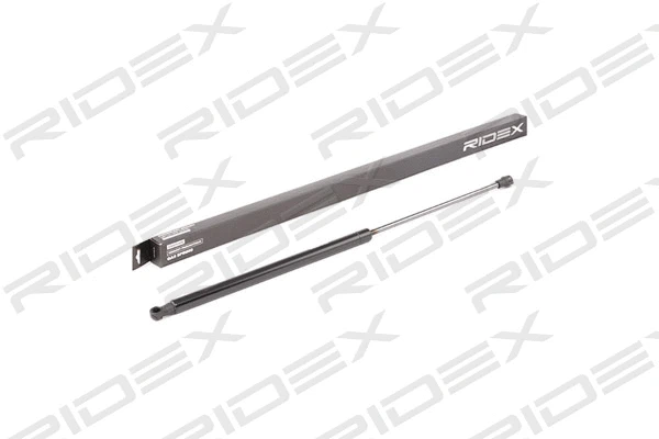 Gas Spring, boot/cargo area (219G0822)