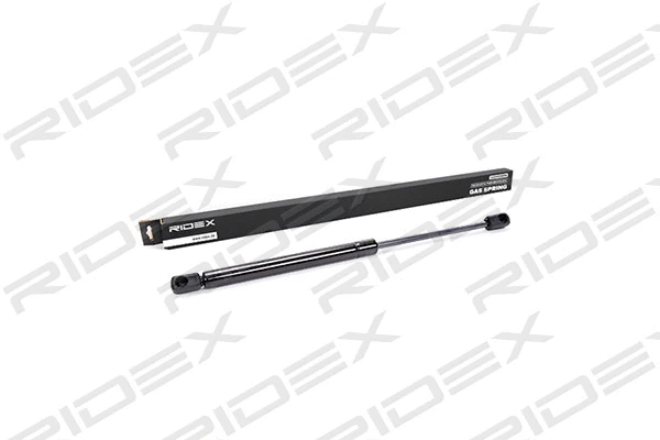 Gas Spring, boot/cargo area (219G0019)
