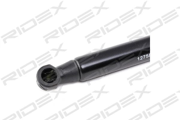 Gas Spring, bonnet