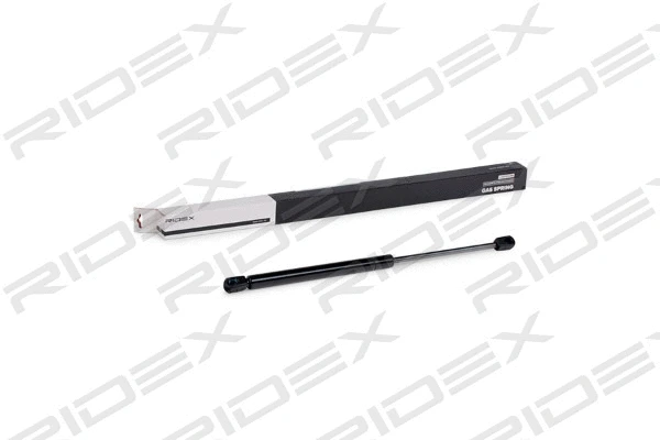 Gas Spring, boot/cargo area