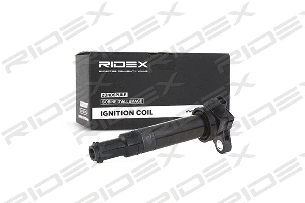 Ignition Coil (689C0134)