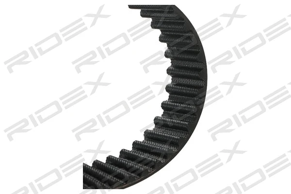 Timing Belt