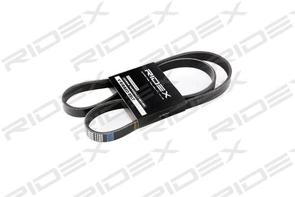 V-Ribbed Belt (305P0036)