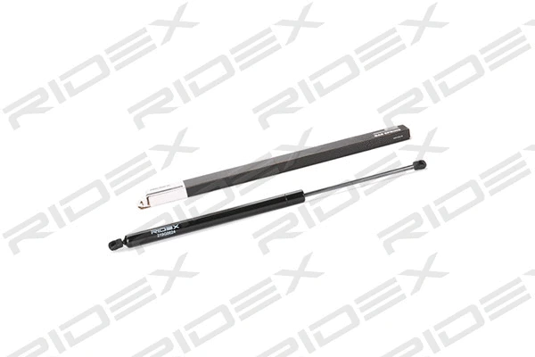 Gas Spring, boot/cargo area (219G0624)