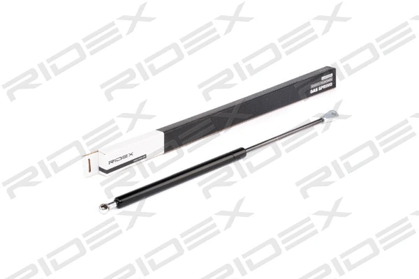 Gas Spring, boot/cargo area