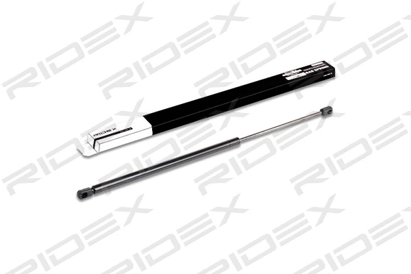 Gas Spring, boot/cargo area (219G0070)