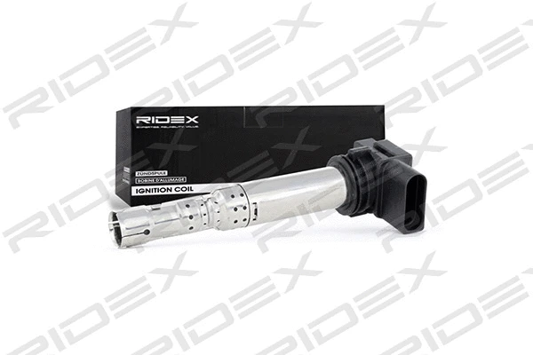 Ignition Coil (689C0235)
