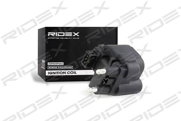 Ignition Coil (689C0159)