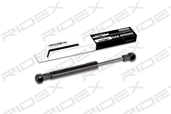 Gas Spring, boot/cargo area (219G0293)