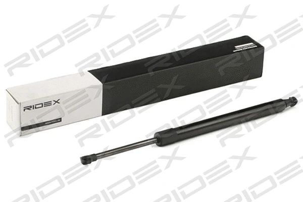 Gas Spring, boot/cargo area