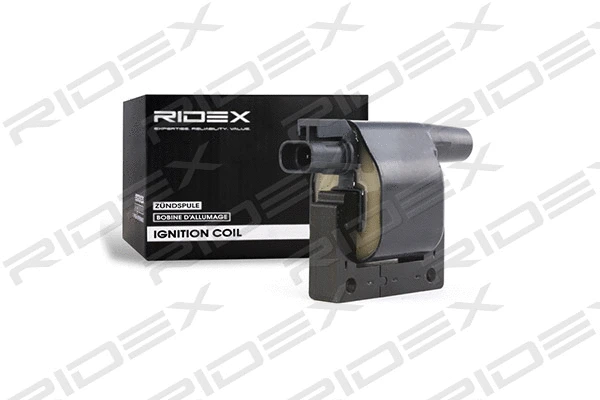 Ignition Coil (689C0081)