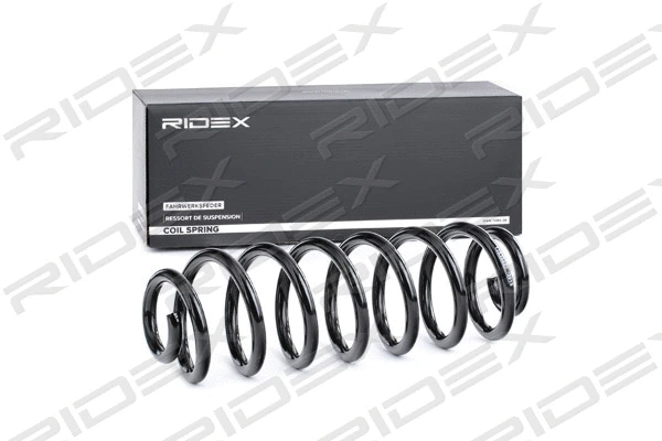 Suspension Spring (188C0536)