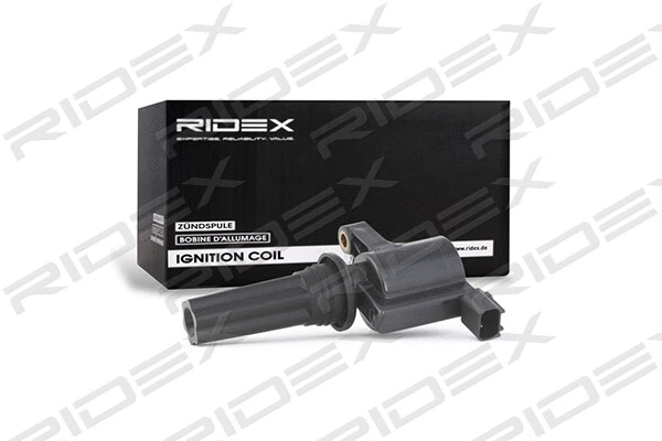 Ignition Coil (689C0056)