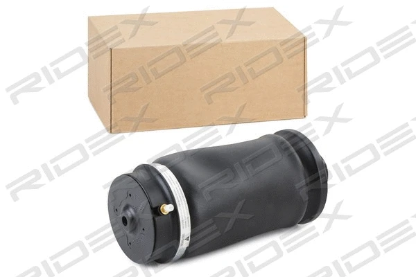 Air Suspension Strut