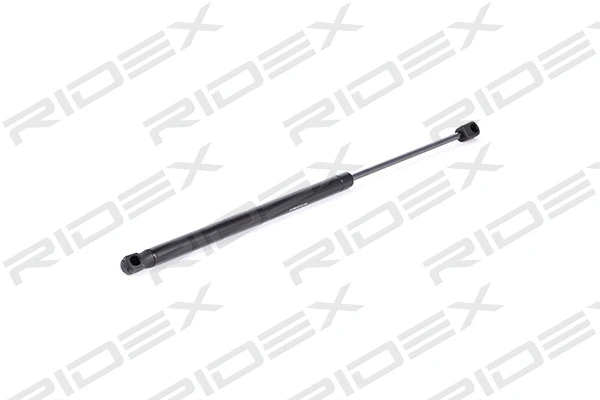 Gas Spring, boot/cargo area (219G0071)