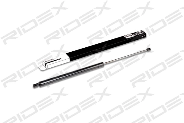 Gas Spring, boot/cargo area (219G0154)