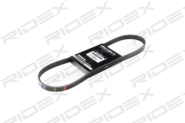 V-Ribbed Belt (305P0296)