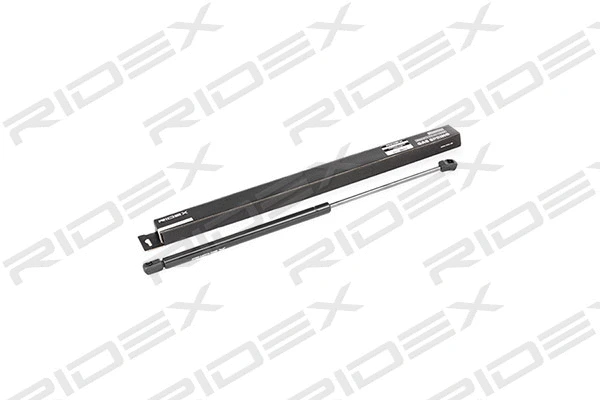 Gas Spring, boot/cargo area (219G0323)