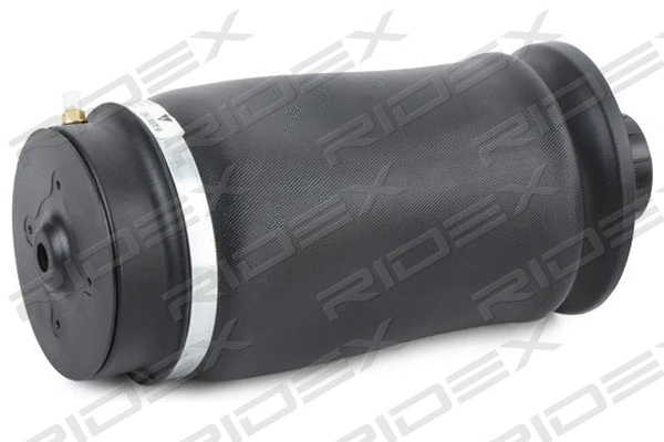 Air Suspension Strut