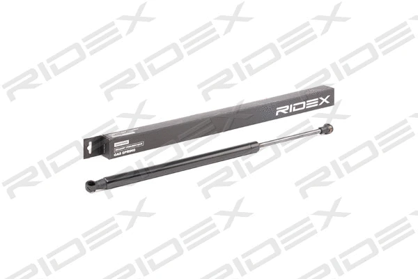 Gas Spring, boot/cargo area