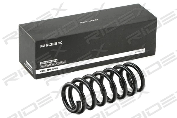 Suspension Spring (188C0489)