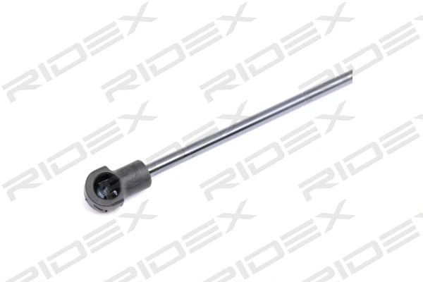 Gas Spring, boot/cargo area (219G0485)