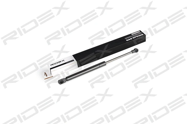 Gas Spring, boot/cargo area (219G0550)