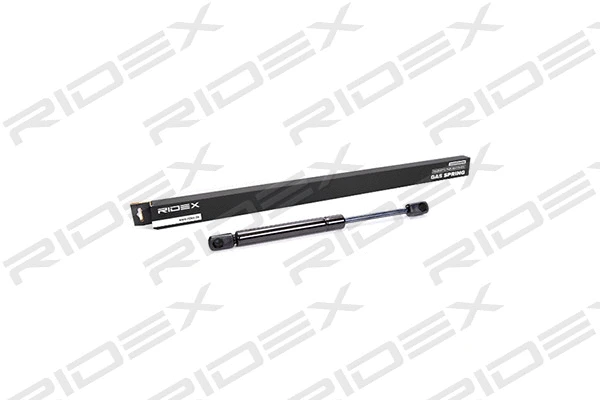 Gas Spring, boot/cargo area (219G0087)