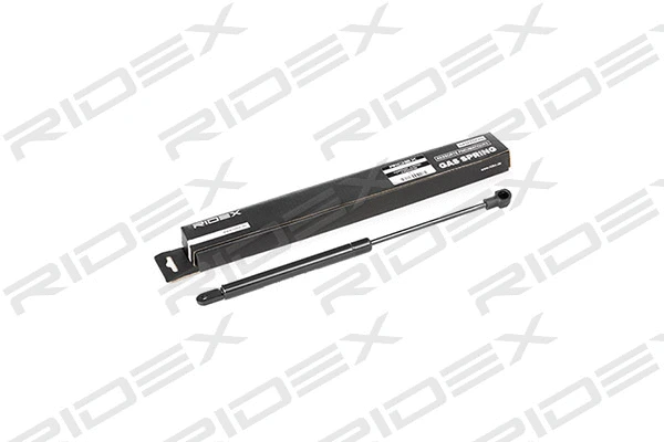 Gas Spring, rear window (219G0465)