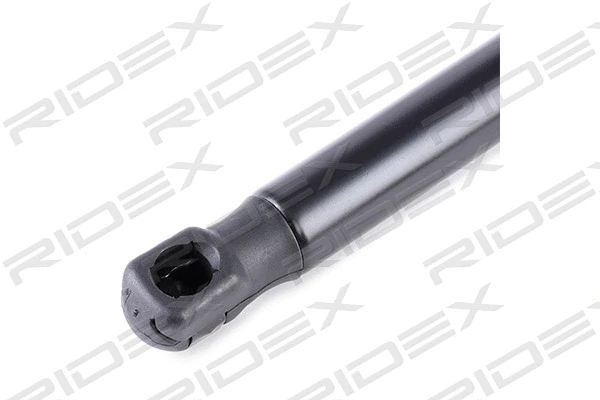 Gas Spring, boot/cargo area (219G0576)