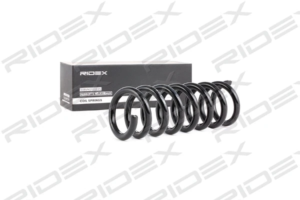 Suspension Spring (188C0268)