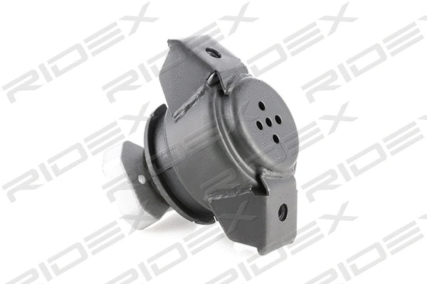 Mounting, engine (247E0029)