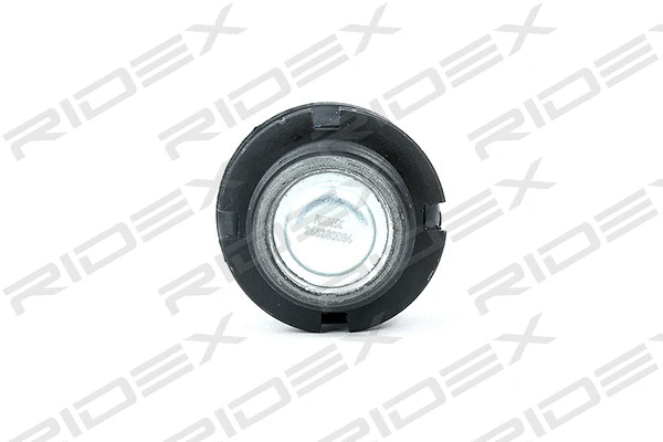 Ball Joint (2462S0084)