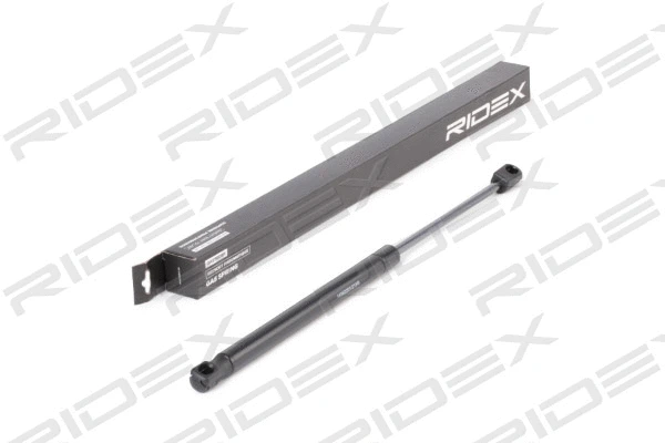 Gas Spring, boot/cargo area