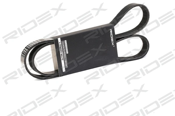 V-Ribbed Belt (305P0231)