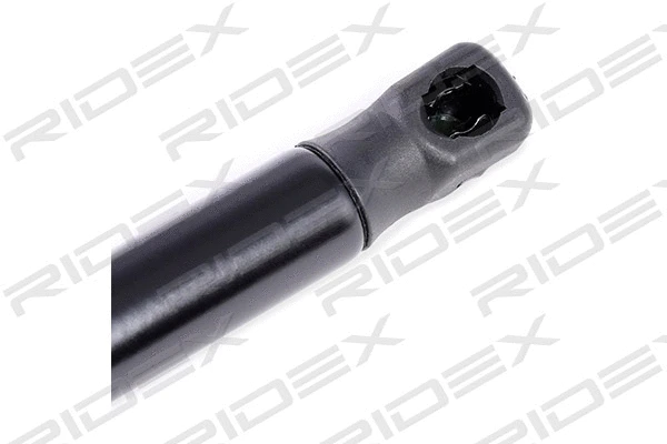Gas Spring, boot/cargo area (219G0298)