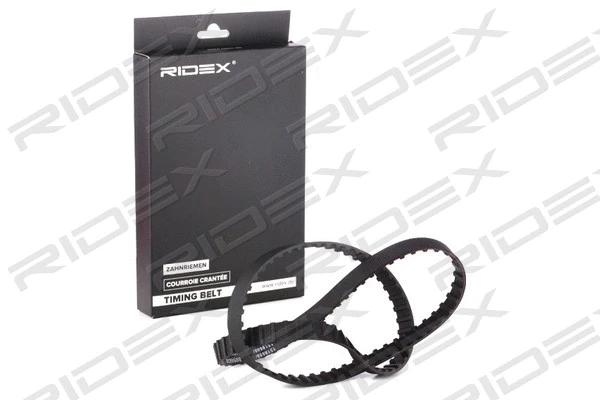 Timing Belt