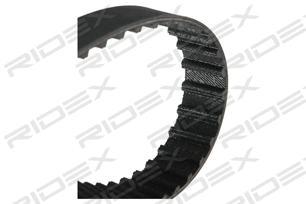 Timing Belt