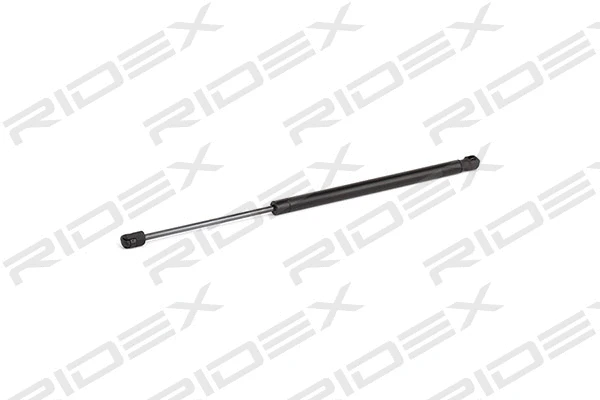 Gas Spring, boot/cargo area (219G0831)