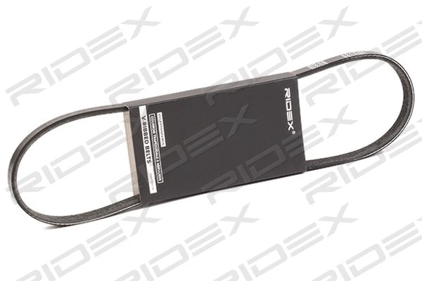 V-Ribbed Belt (305P0381)