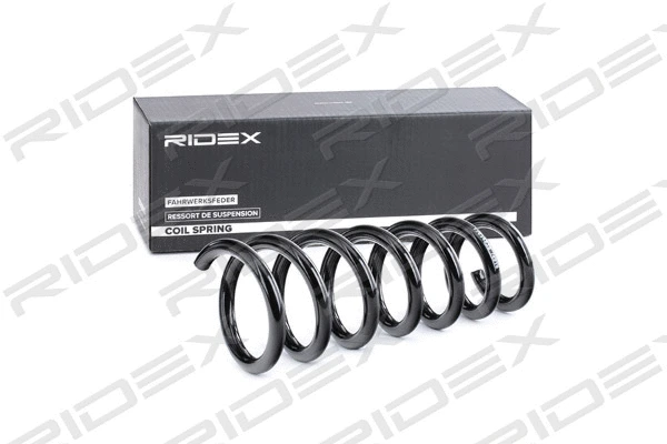 Suspension Spring (188C0389)