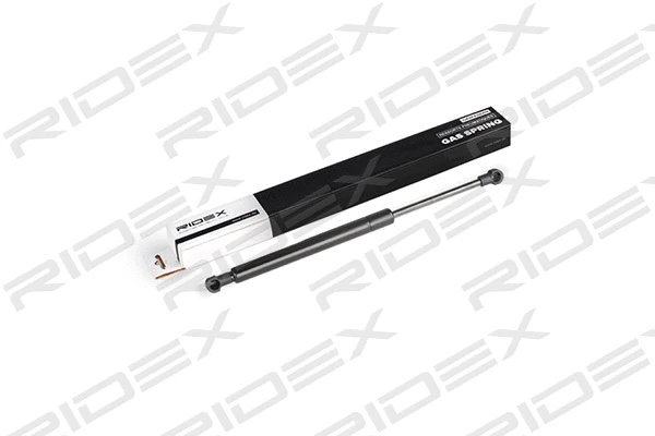 Gas Spring, boot/cargo area (219G0296)