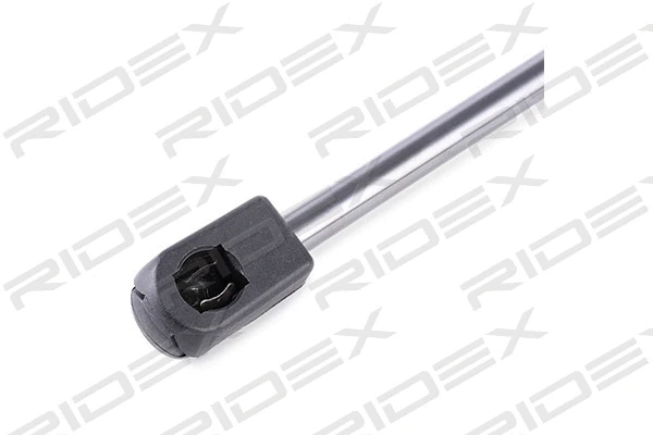 Gas Spring, boot/cargo area (219G0685)