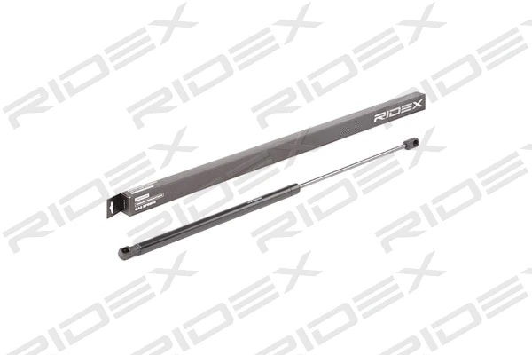 Gas Spring, boot/cargo area (219G0746)