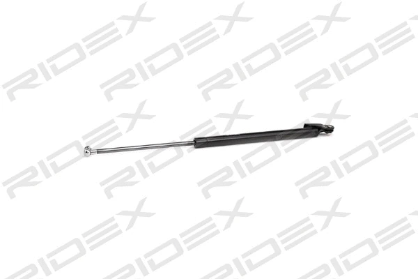 Gas Spring, boot/cargo area (219G0802)