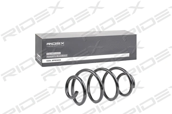 Suspension Spring