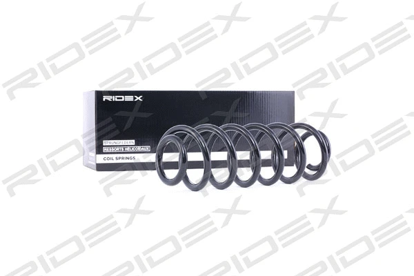 Suspension Spring (188C0090)
